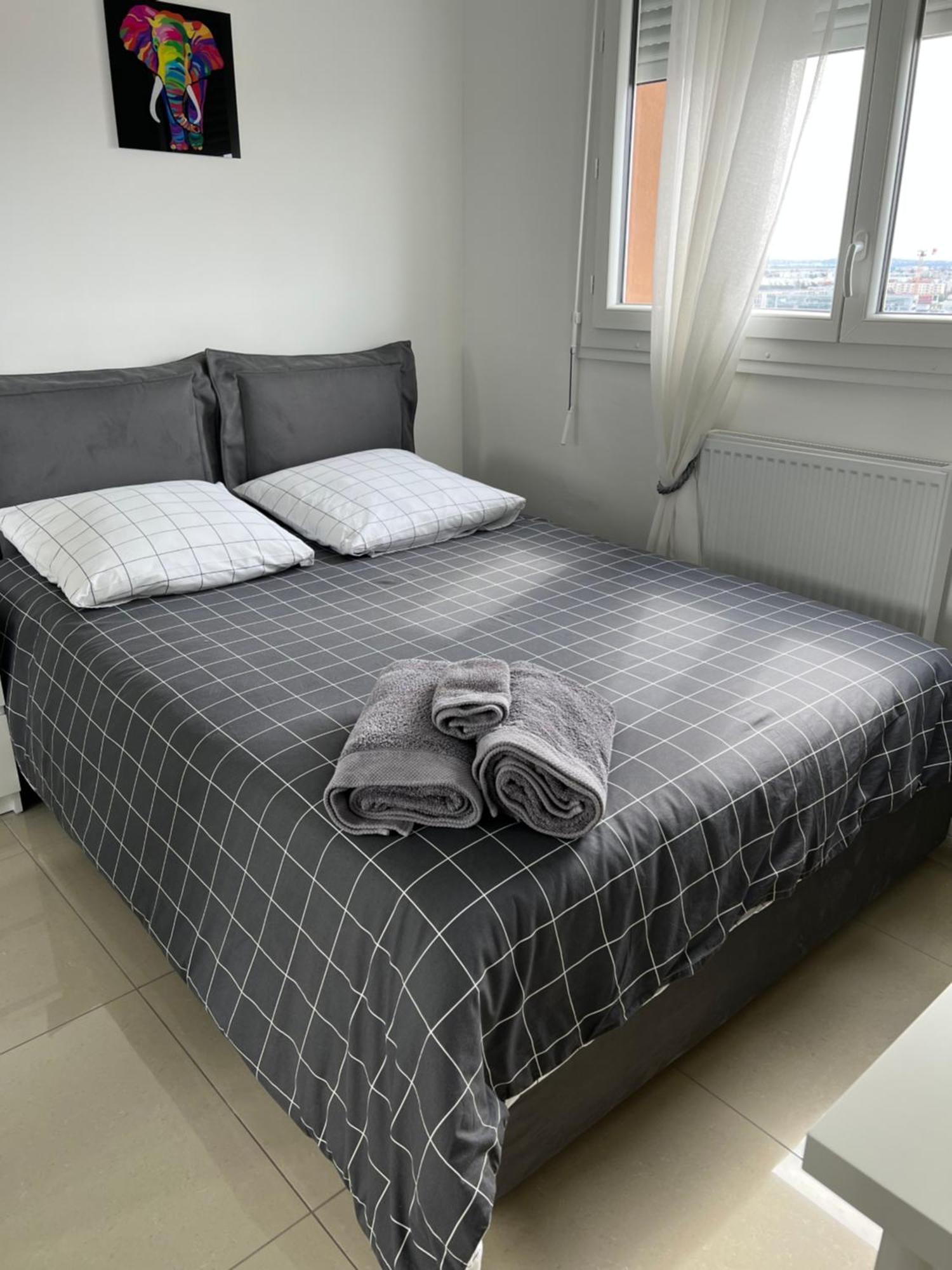 Super 4 Pieces Refait A Neuf Apartman Villeurbanne Kültér fotó